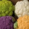 Cauliflower (Different Colours)