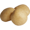 Potato (Med. Yellow)